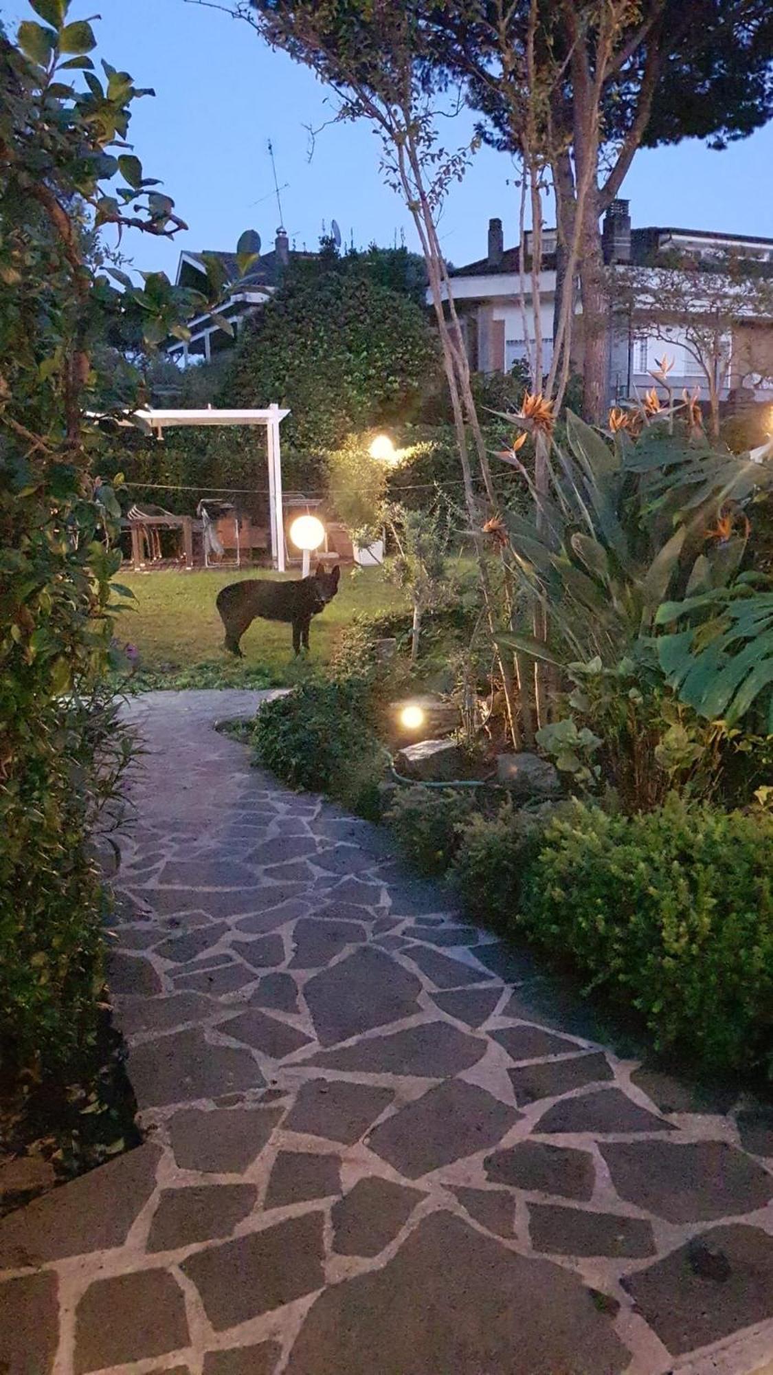 Roma - Casalpalocco - Amipsia Hotel Casal Palocco Luaran gambar